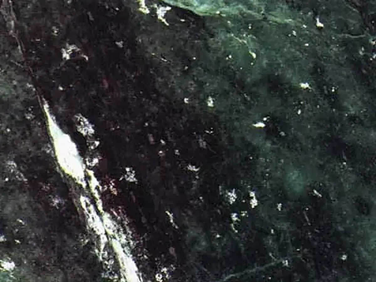 Verde Giada mármol, muestra pulida – Marmi di Carrara – negro, antracita (1)