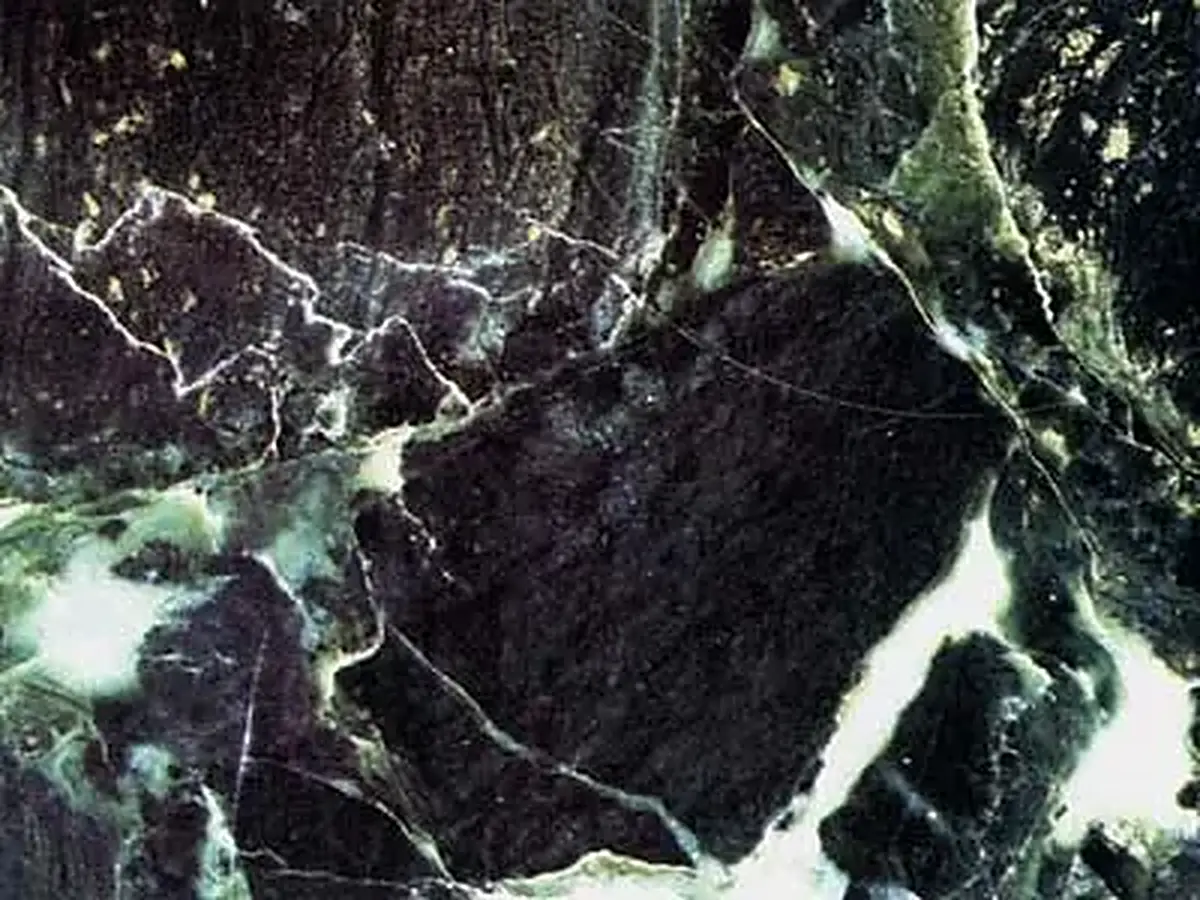 Verde Larissa serpentino, campione lucido – Marmi di Carrara – nero, antracite (1)