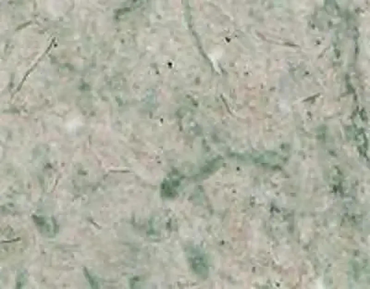 Verde Lotus M 071 marmo, campione lucido – Marmi di Carrara – grigio chiaro, beige (1)