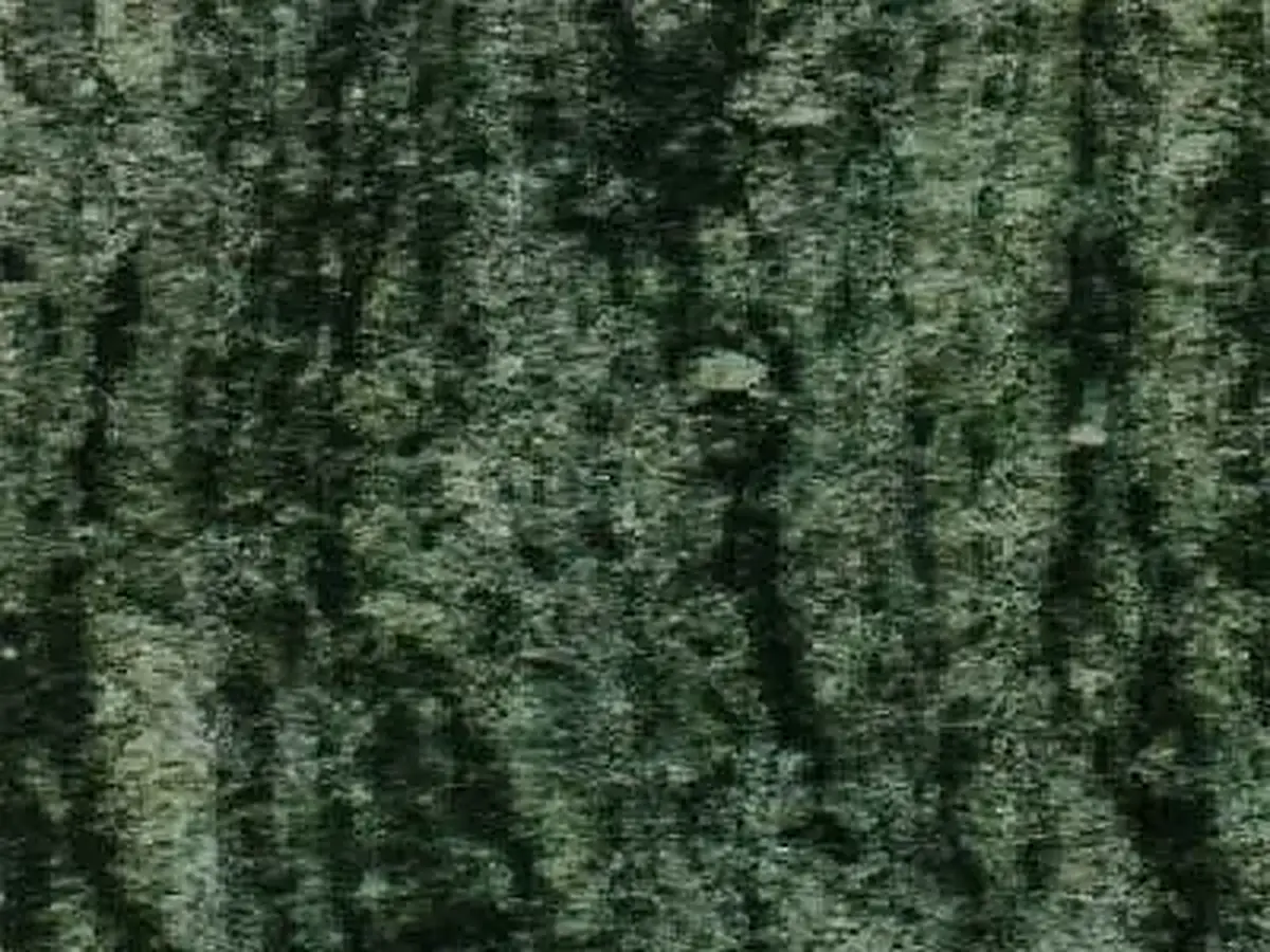 Verde Maritaca granito, campione lucido – Marmi di Carrara – antracite, nero (1)