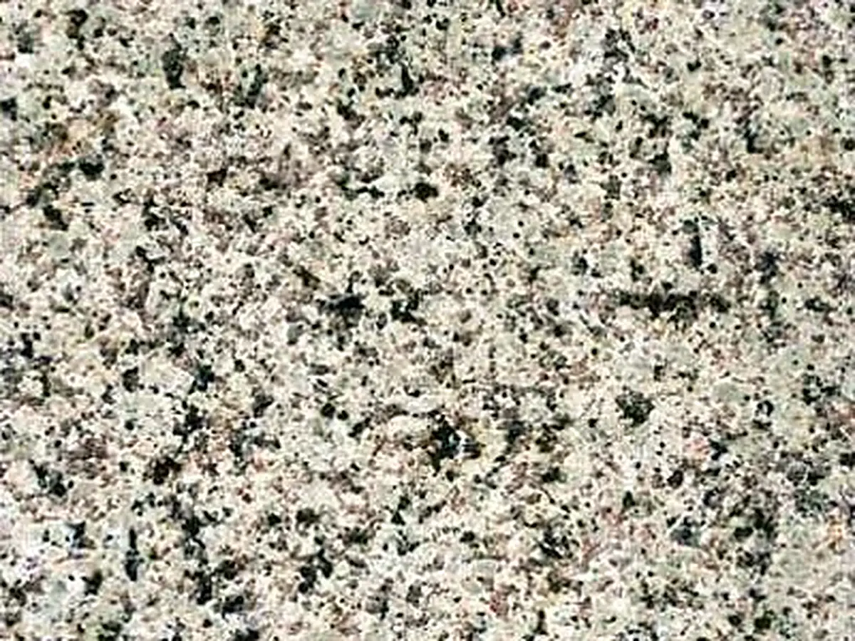 Verde Meruoca granite polished sample – Marmi di Carrara – grey, beige (1)