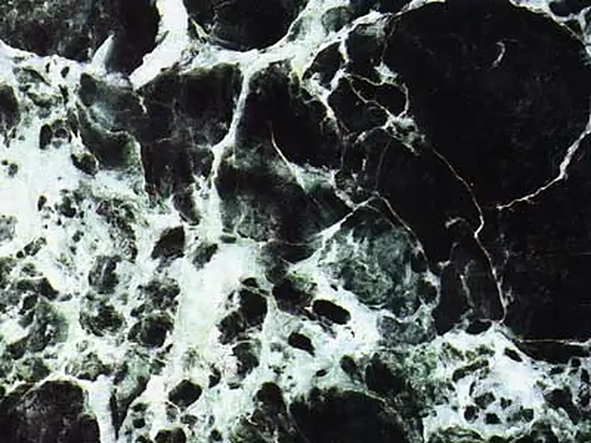 Verde San Denis mármol, muestra pulida – Marmi di Carrara – negro, verde (1)