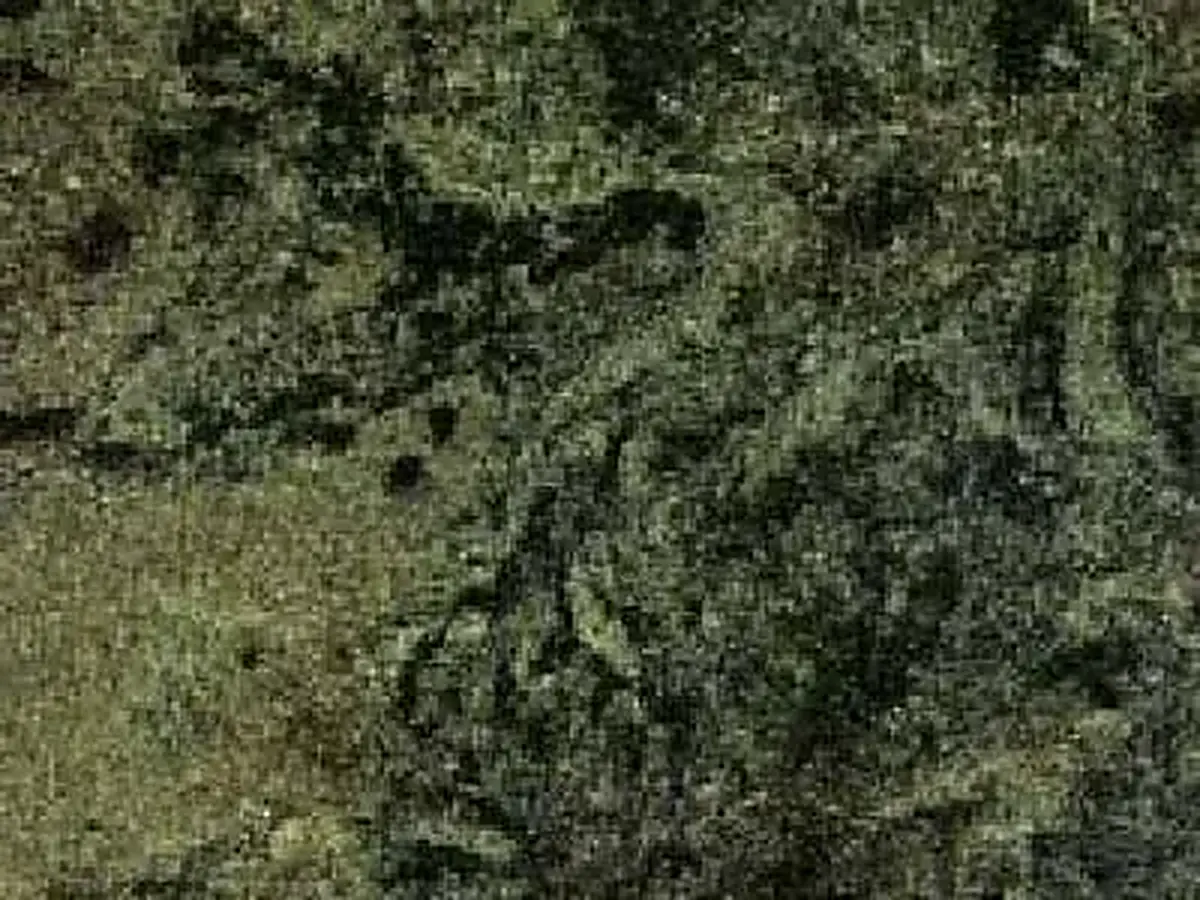 Verde São Francisco granite polished sample – Marmi di Carrara – charcoal, black (1)