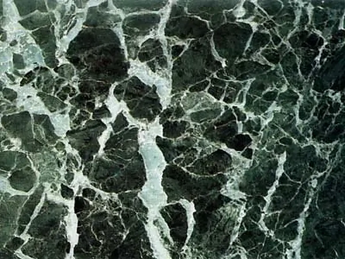 Verde Tinos marble polished sample – Marmi di Carrara – charcoal, black (1)