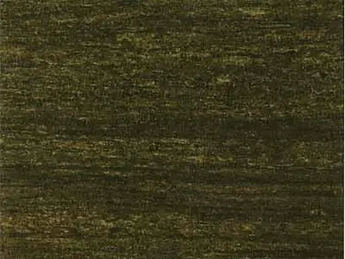 Verde Velasquez granito, muestra pulida – Marmi di Carrara – negro, antracita (1)