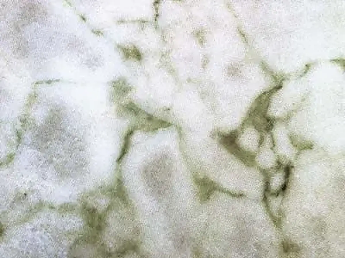 Verde Xiropotamos Marmor, polierte Probe – Marmi di Carrara – weiß, hellgrau (1)