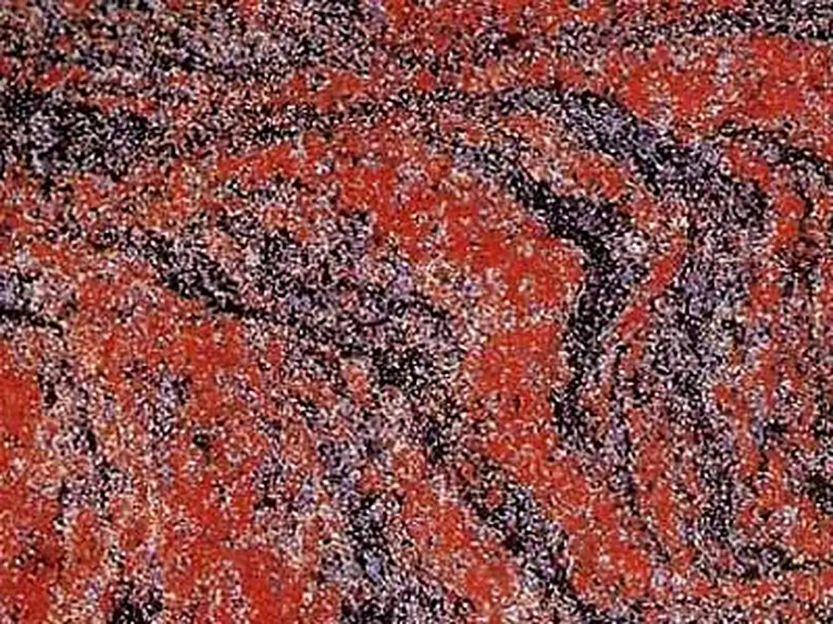 Vermelho Ceara granito, campione lucido – Marmi di Carrara – marrone, viola (1)