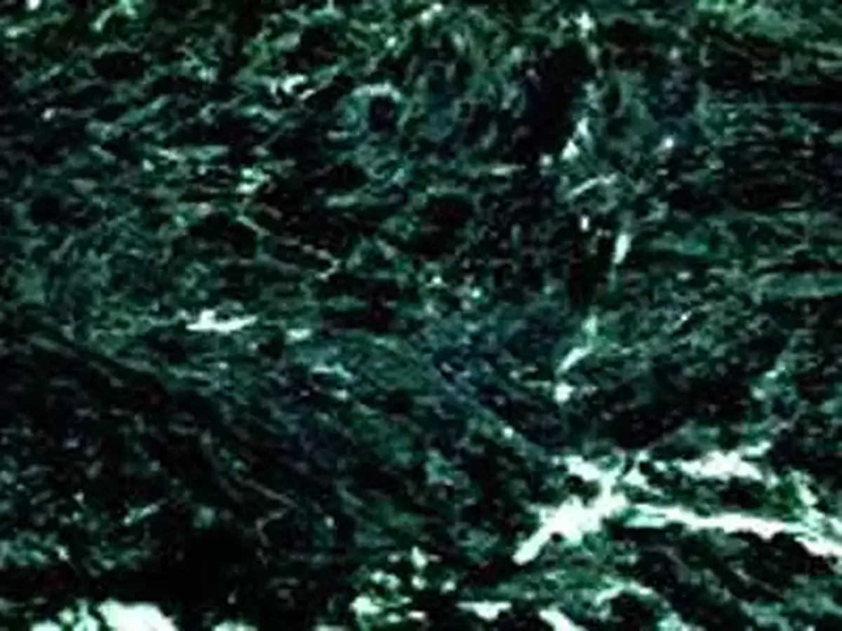 Vermont Verde Antique serpentinite polished sample – Marmi di Carrara – black, charcoal (1)