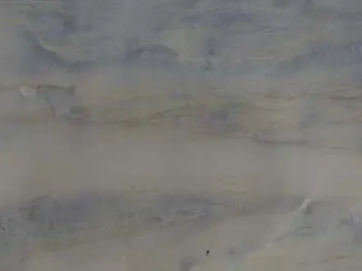 Victoria Blue quartzite polished sample – Marmi di Carrara – grey, violet (1)