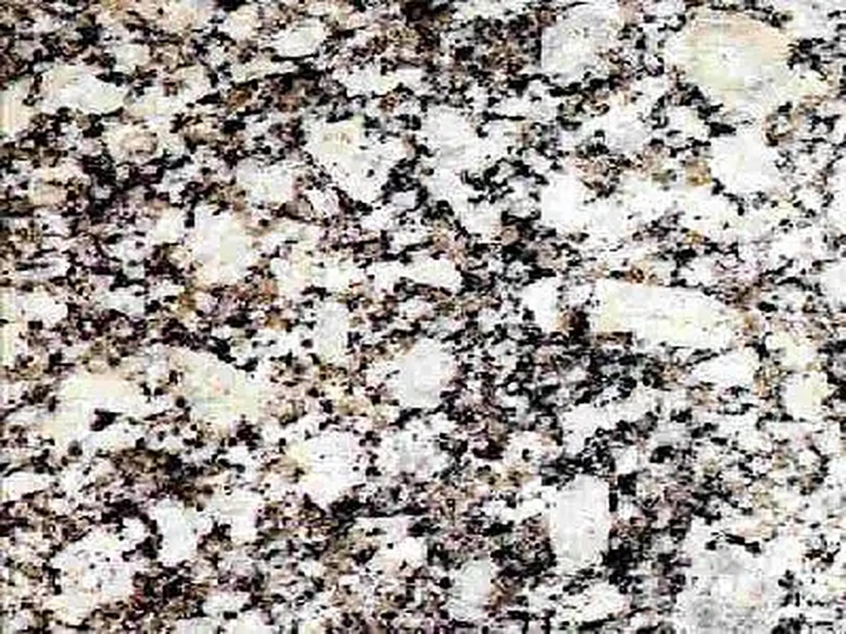 Viitasaari Yellow granito, muestra pulida – Marmi di Carrara – gris, verde (1)