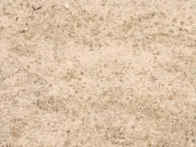 Vilhonneur limestone