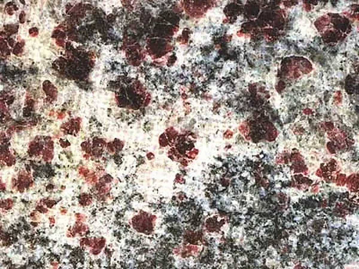 Viola Ametista granit, échantillon poli – Marmi di Carrara – gris, anthracite (1)