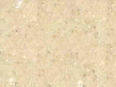 Vratza Beige calcaire, échantillon poli – Marmi di Carrara – ivoire, beige (1)