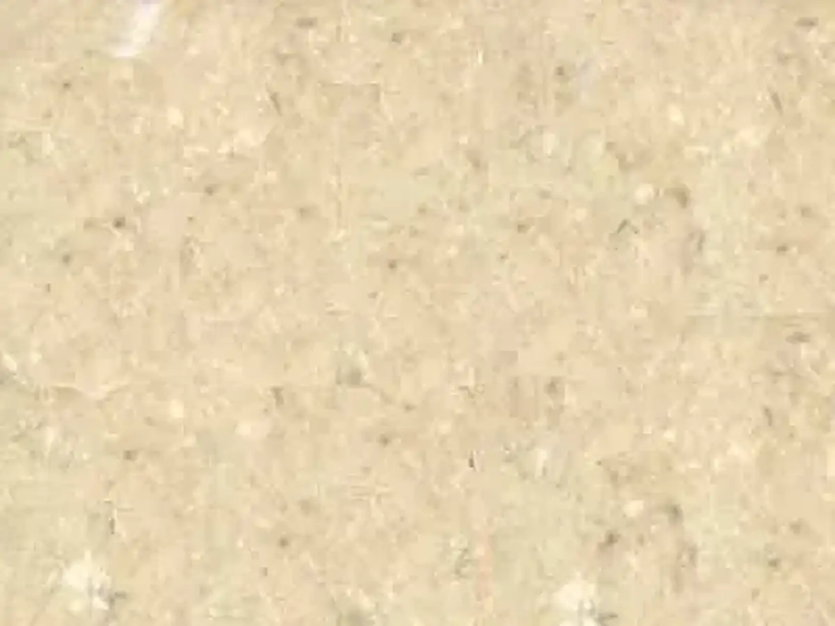 Vratza Beige calcaire, échantillon poli – Marmi di Carrara – ivoire, beige (1)