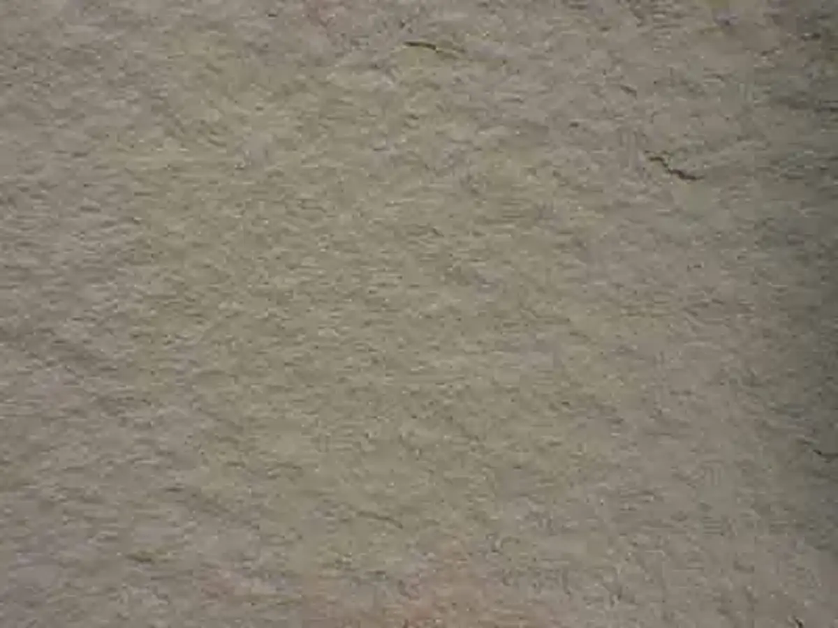 Wallace grès, échantillon poli – Marmi di Carrara – gris, vert (1)