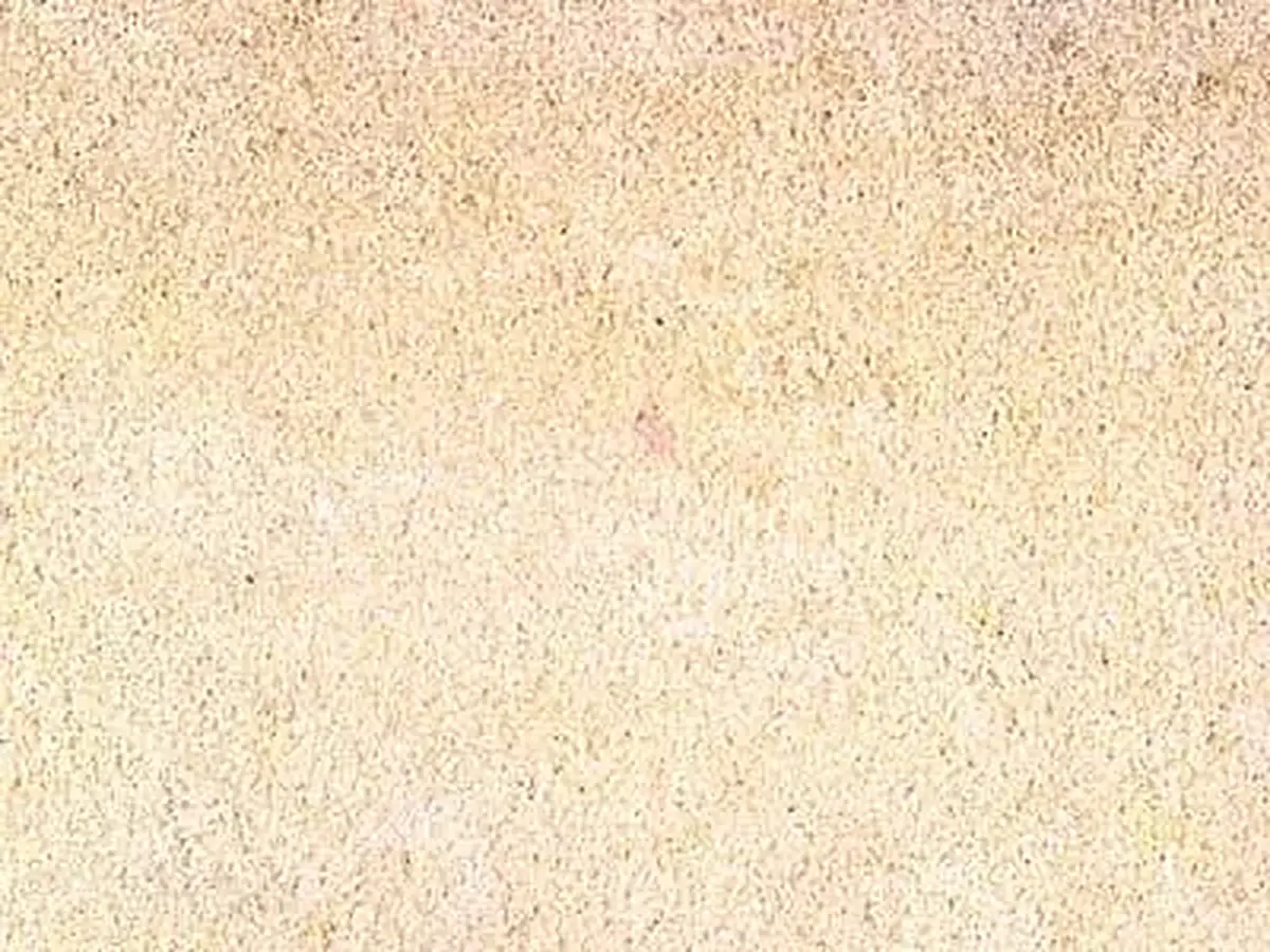 Warthau Sandstone arenisca, muestra pulida – Marmi di Carrara – marfil (1)
