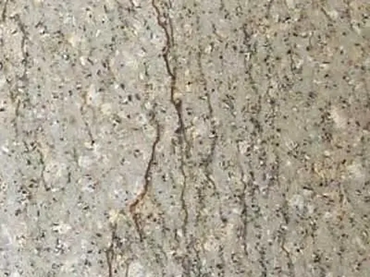 Weidenhahn piedra natural, muestra pulida – Marmi di Carrara – gris, gris claro (1)