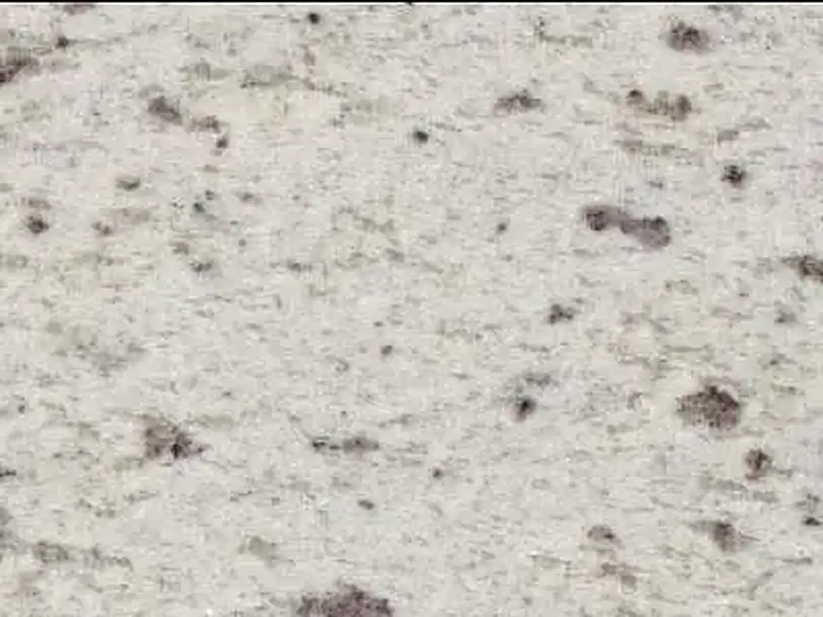 White Galaxy granito, muestra pulida – Marmi di Carrara – gris claro, marfil (1)