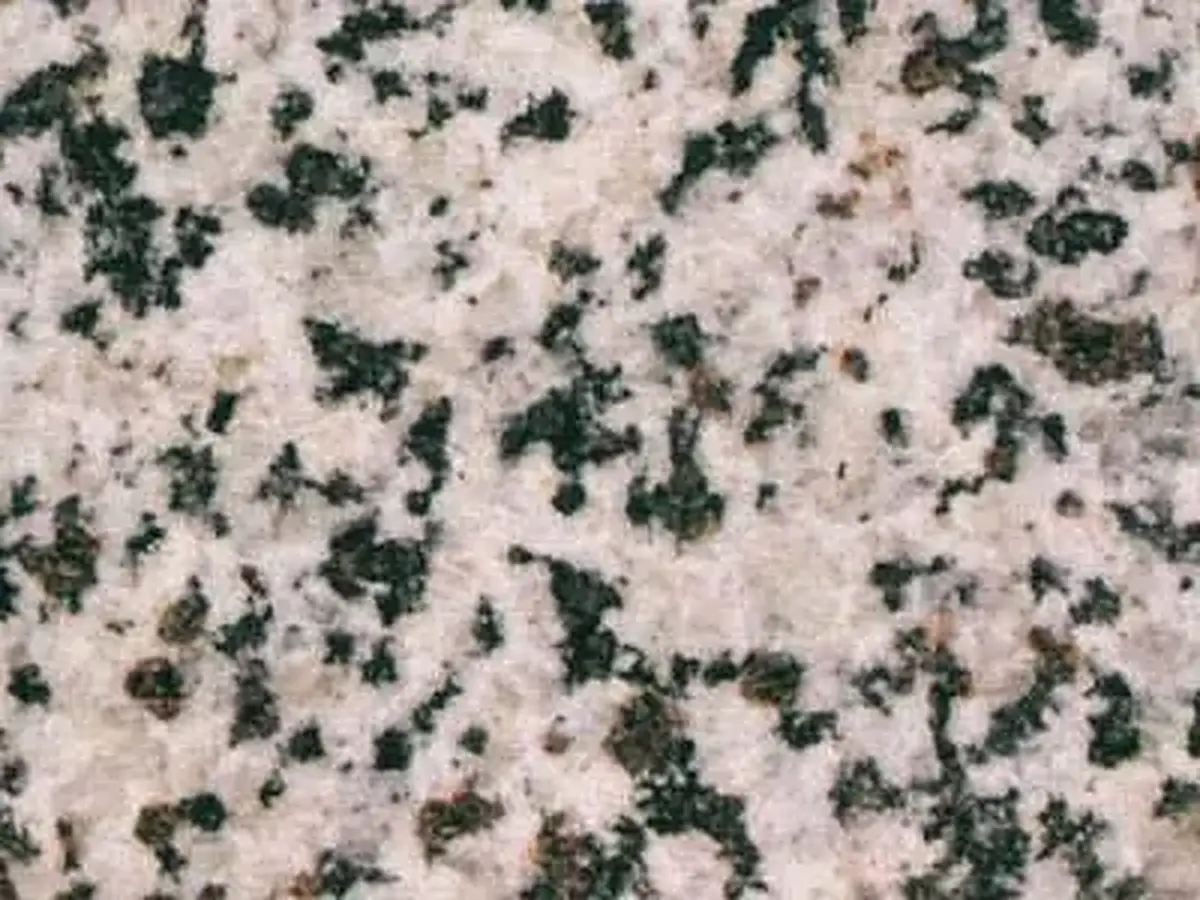 White Granada granite polished sample – Marmi di Carrara – light grey, grey (1)
