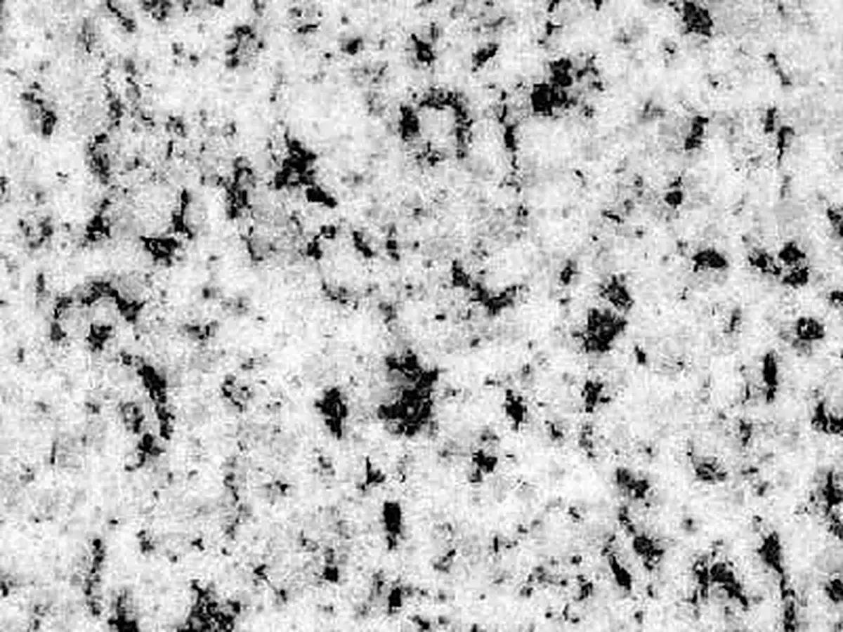 White Halayeb granite polished sample – Marmi di Carrara – ivory, light grey (1)