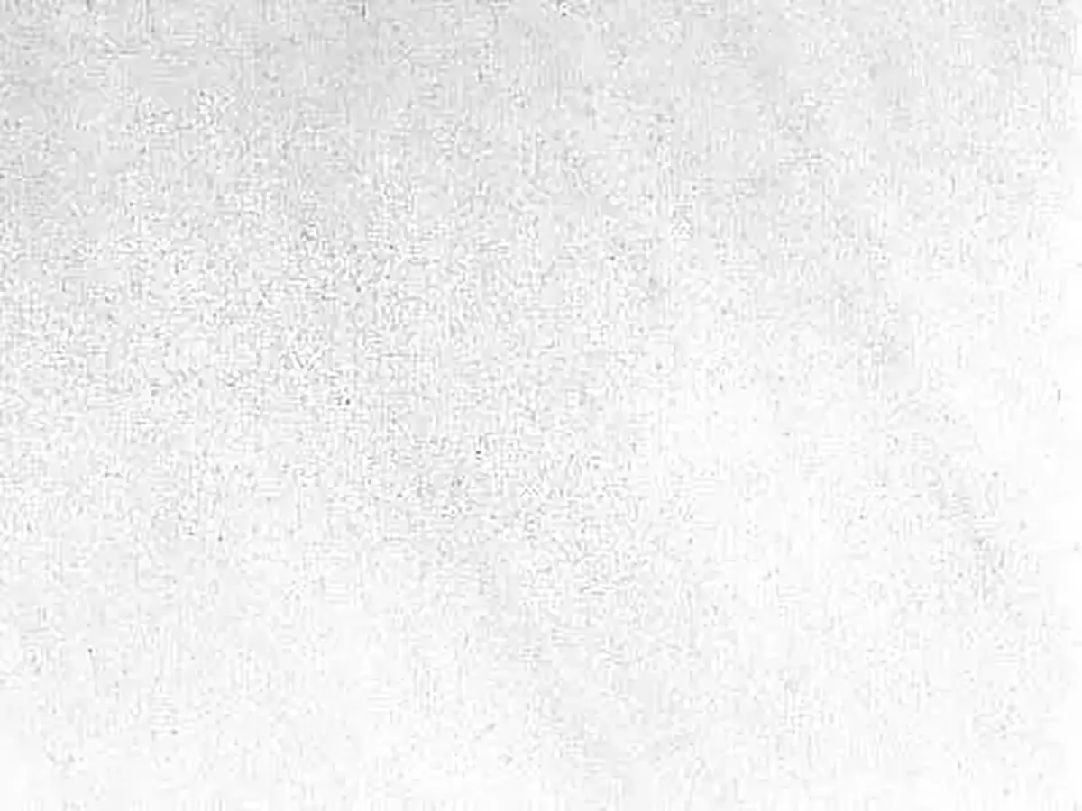 White of Dionissos Pentelikon marble polished sample – Marmi di Carrara – white (1)