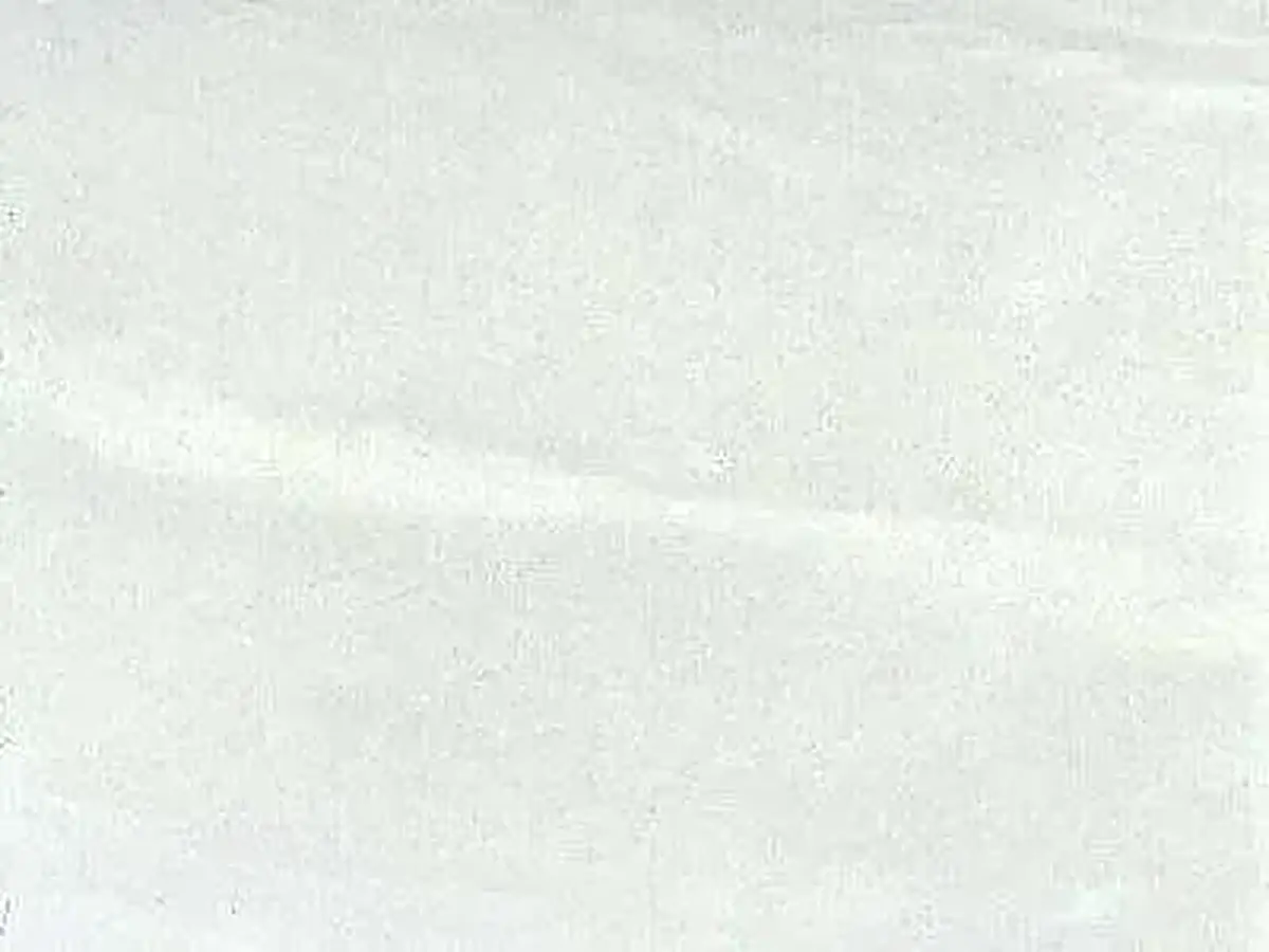 White of Veneto mármol, muestra pulida – Marmi di Carrara – blanco (1)