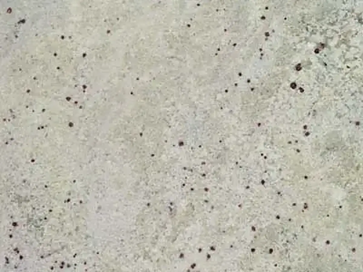 White Palmas granito, muestra pulida – Marmi di Carrara – gris claro, beige (1)