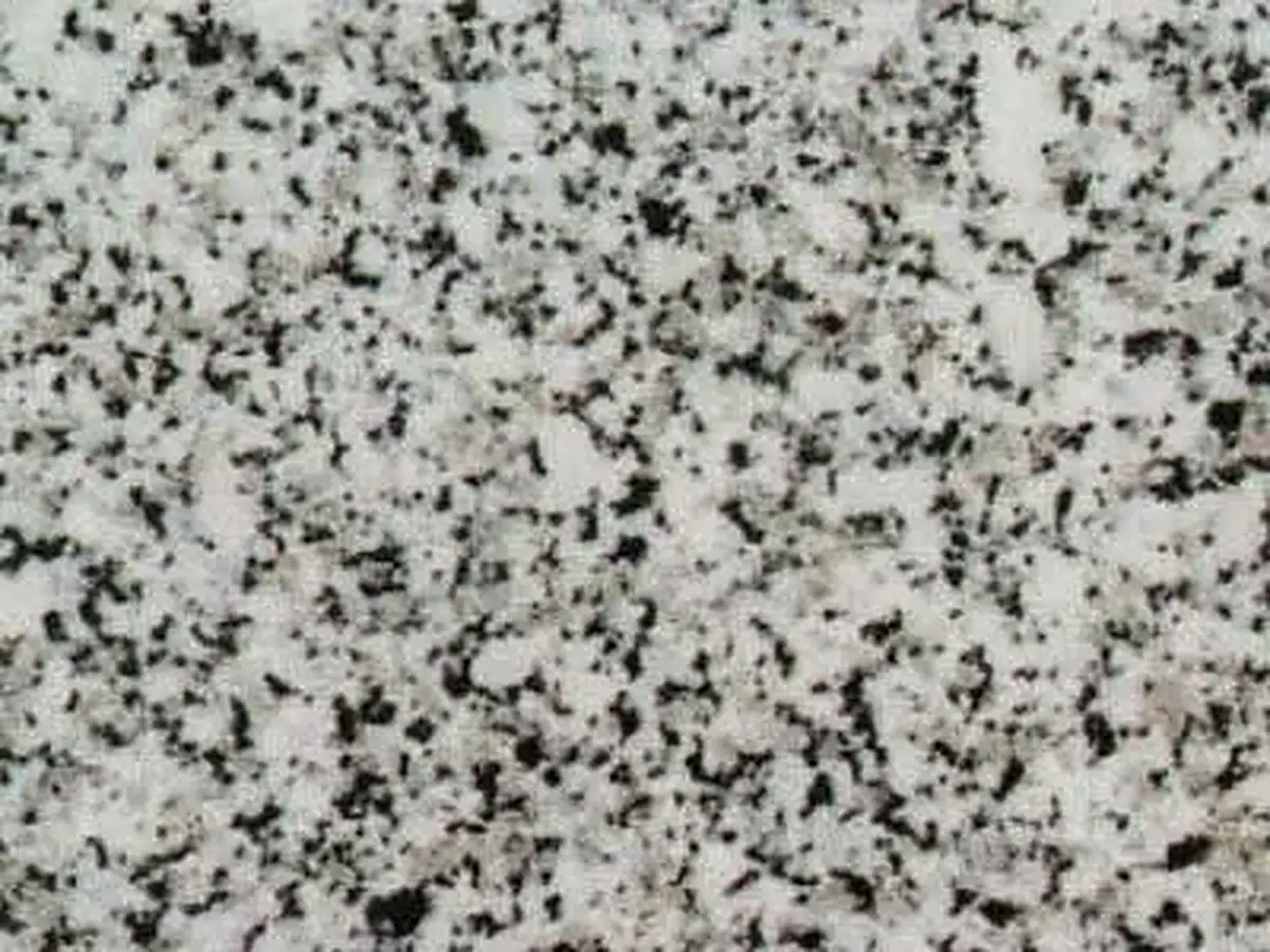 White Safaga granit, échantillon poli – Marmi di Carrara – gris clair, gris (1)