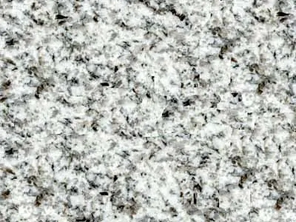 White San Marco granit, échantillon poli – Marmi di Carrara – gris clair, gris (1)
