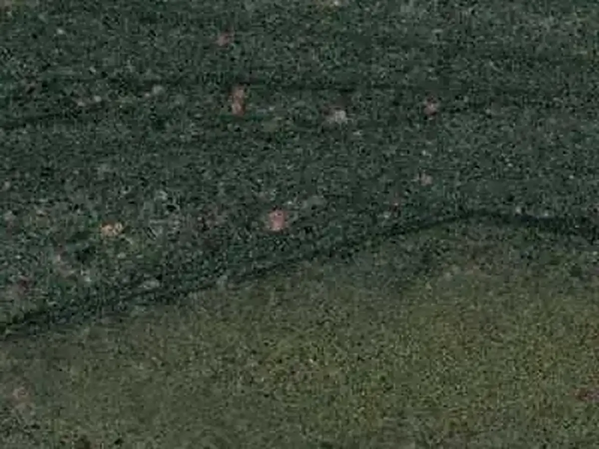 Wild West Green quartzite, échantillon poli – Marmi di Carrara – anthracite, noir (1)