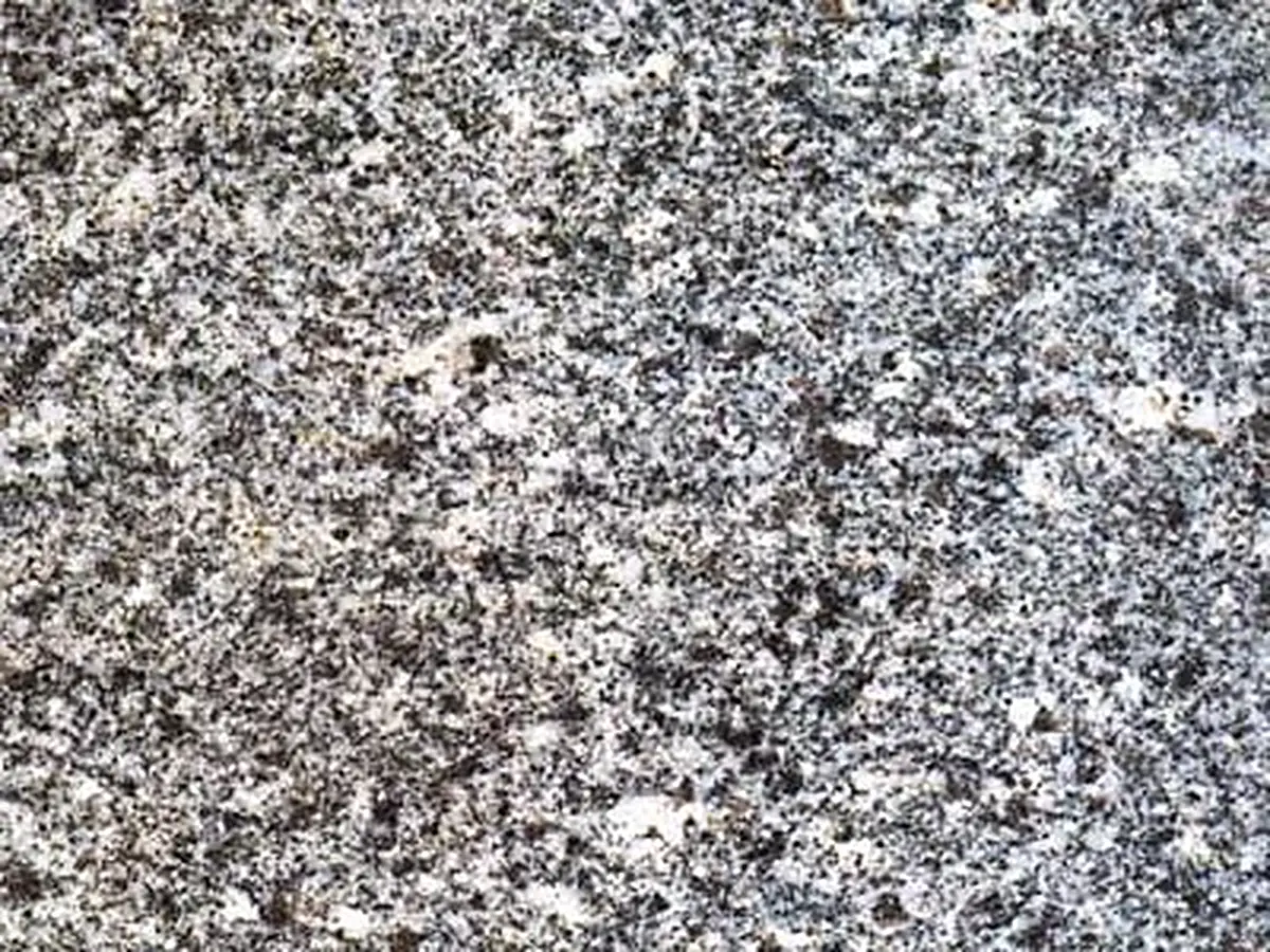 Wolfstein granit, échantillon poli – Marmi di Carrara – gris, gris clair (1)