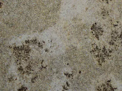 Yellow Mantena Granit, polierte Probe – Marmi di Carrara – grau, grün (1)