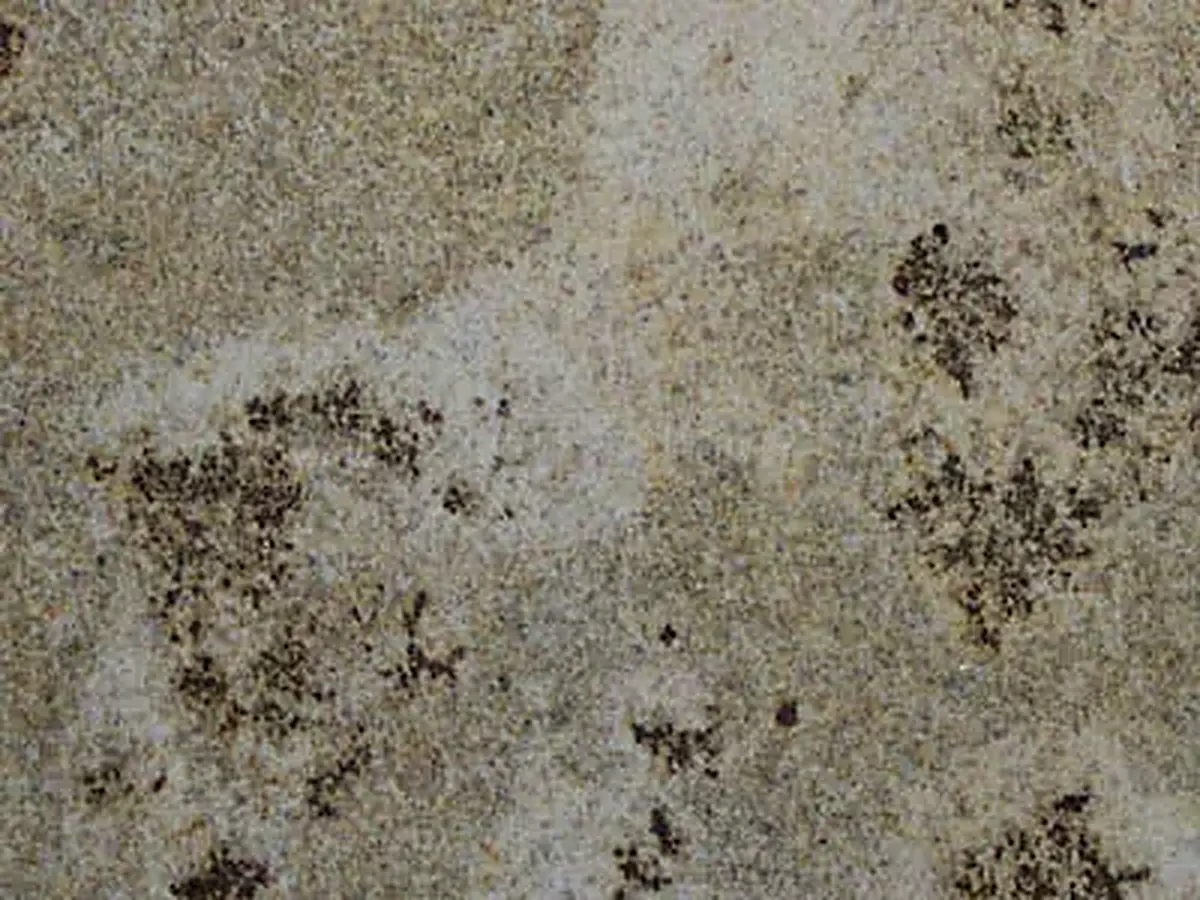 Yellow Mantena Granit, polierte Probe – Marmi di Carrara – grau, grün (1)